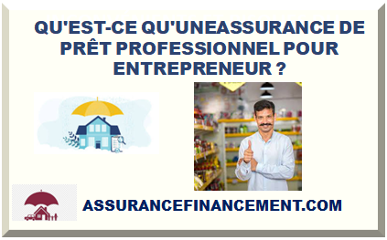 QU'EST-CE QU'UNE ASSURANCE DE PRÊT PROFESSIONNEL POUR ENTREPRENEUR ?