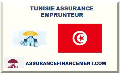 TUNISIE ASSURANCE EMPRUNTEUR 2024